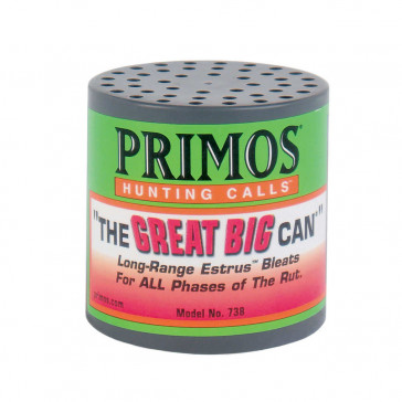 THE GREAT BIG CAN