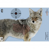 PREGAME® 16.5" X 24" COYOTE TARGET