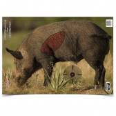 PREGAME BOAR TARGET - 16.5" X 24", 3 TARGETS