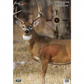 PREGAME® 16.5" X 24" WHITETAIL DEER TARGET