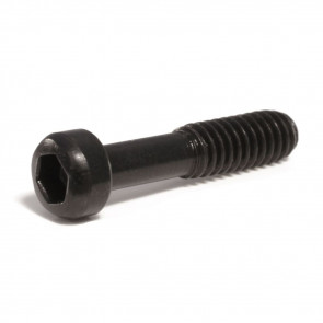  RUGER 10/22 TAKEDOWN SCREW (B65) 